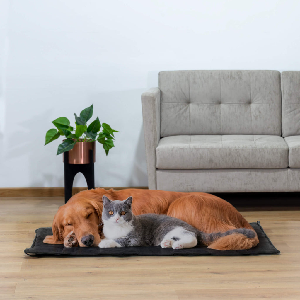 Colchoneta Comfy Roll