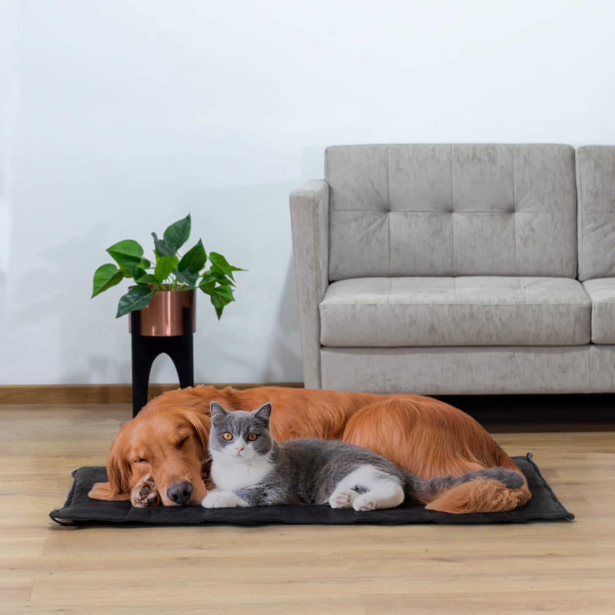 Colchoneta Comfy Roll